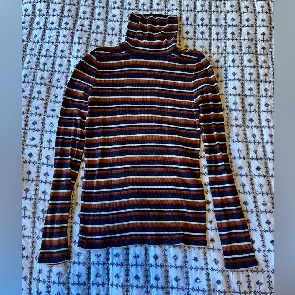 Madewell Striped Turtleneck